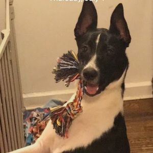 Meet your Posher, Rachel